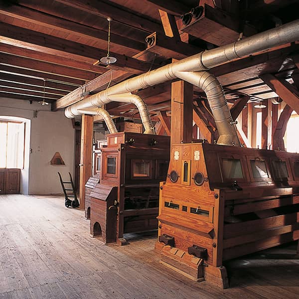 Pastificio Moro Mulino Bottanera Ricettepizzoccheri - pastificio Moro - Pastificio Moro, una storia lunga 150 anni! - Ricette Pizzoccheri Pastificio Moro - Mulino Bottanera - Ricettepizzoccheri